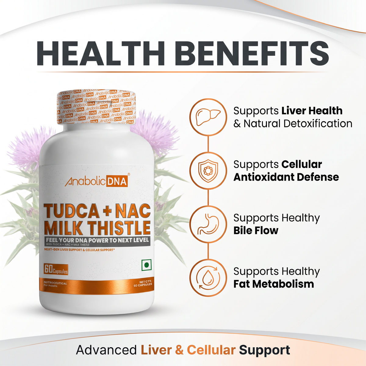 Anabolic DNA TUDCA